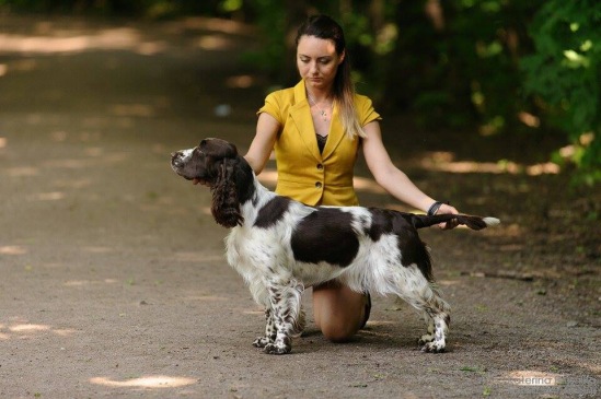 194947-0994c-82919340-m549x500-u07e48.jp